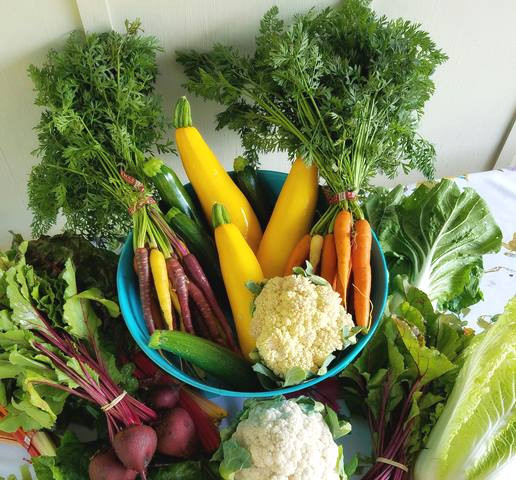 Mengenal Planed Based Diet dan Manfaatnya untuk Kesehatan