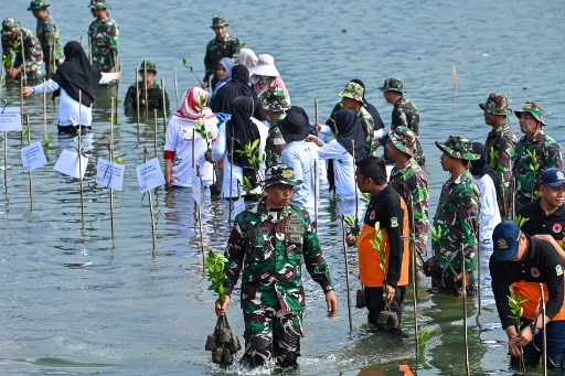 Momen BNPB Tanam 6.000 Batang Mangrove di Aceh
