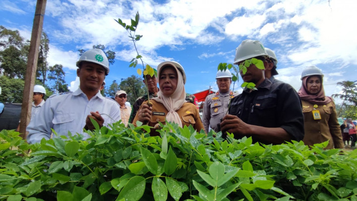 Mengenal Gamal, Tanaman yang Bisa Membendung Erosi