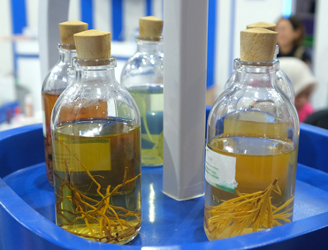 Inovasi Skincare dari Tanaman Herbal, Daun Pegagan hingga Kayu Manis jadi Sorotan