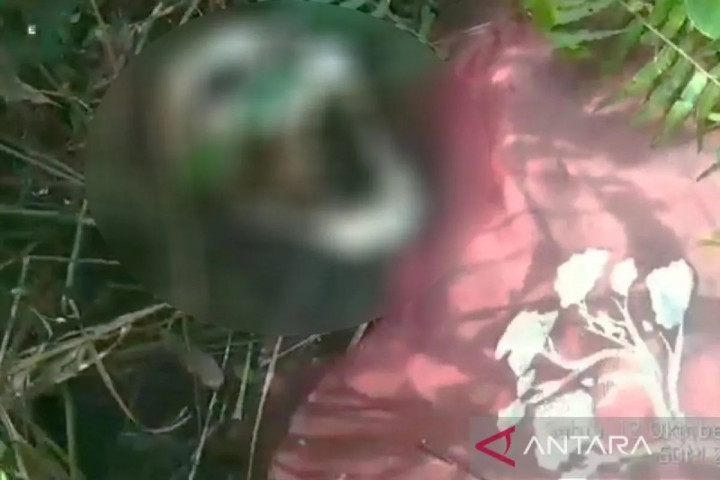 Geger! Tengkorak Manusia Ditemukan di Hutan Kalimantan, Ini Fakta-faktanya