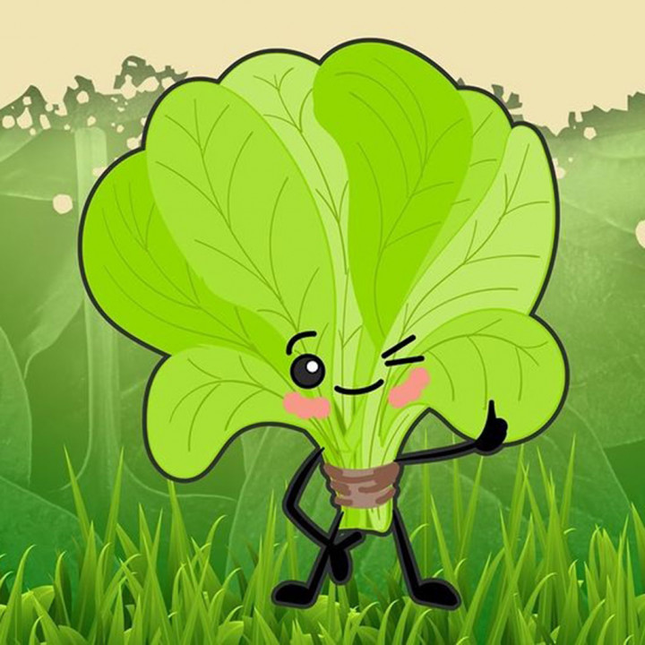 Beberapa Khasiat Bayam untuk Kesehatan