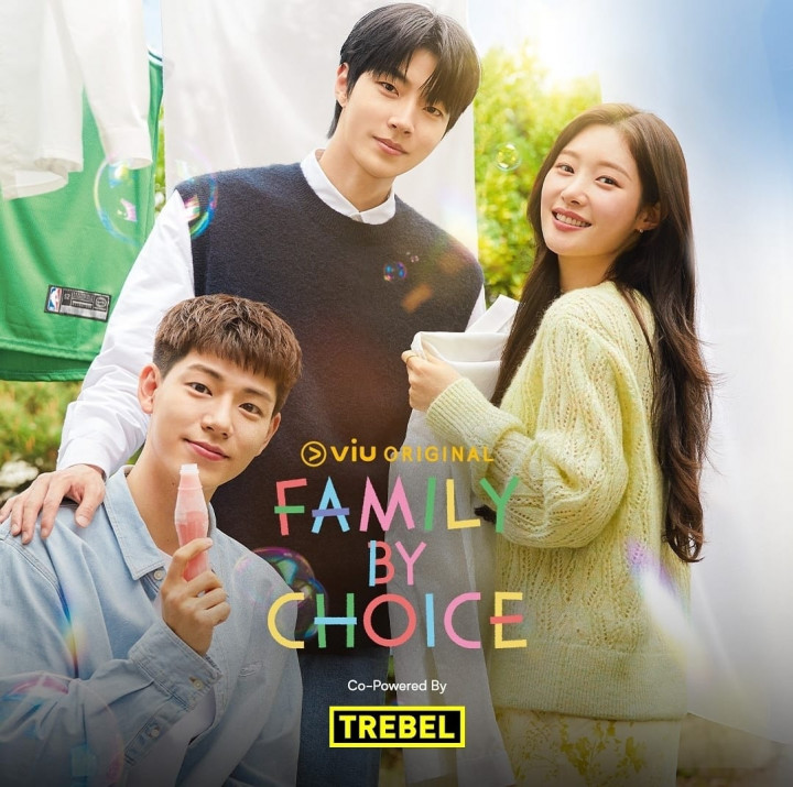 Sinopsis Drakor Family by Choice