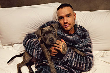 Sebelum Meninggal, Liam Payne Sempat Nonton Konser Niall Horan