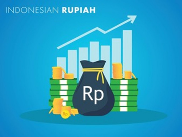 Mengenal Penerimaan Negara Bukan Pajak, Jenis, dan Contohnya