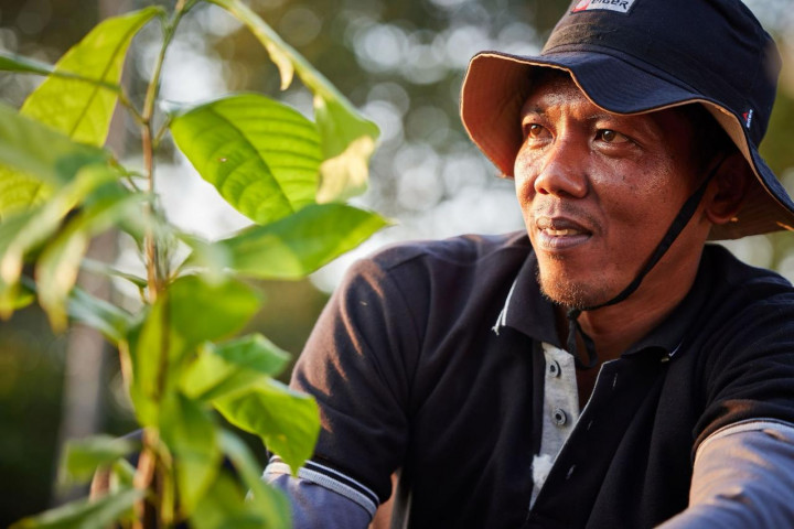 Cara Kembangkan Lahan Pertanian  Kakao dan Kopi Berkelanjutan di Indonesia