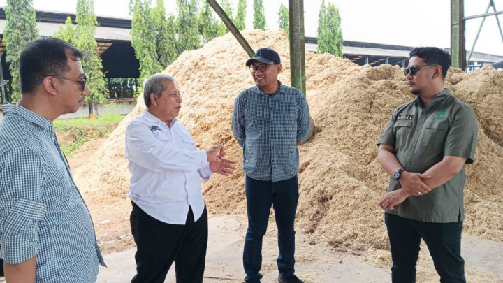 Himpo: Pemakaian Pupuk Berimbang, Kunci Secepatnya Swasembada Pangan