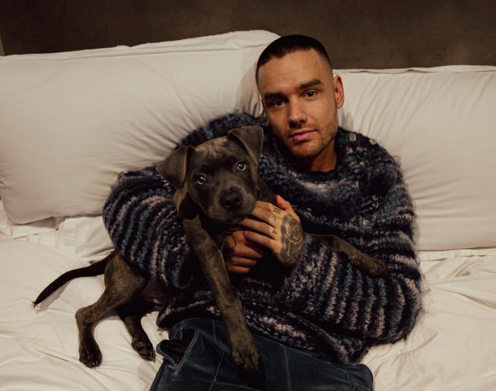 5 Fakta Kematian Liam Payne