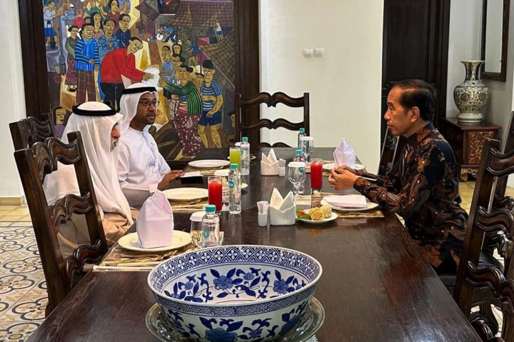 Momen Jokowi Terima Kunjungan Menteri UEA di Kediamannya