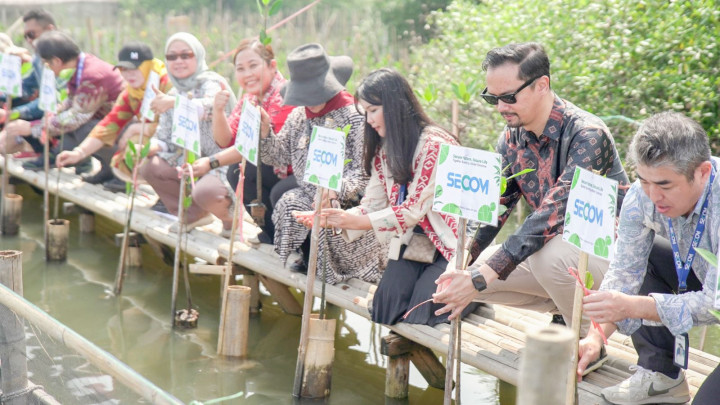 Penanaman Mangrove di Hutan Lindung untuk Lestarikan Lingkungan