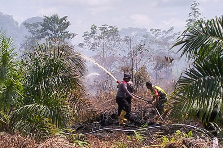 Duh, 8 Hektare Lahan di Aceh Barat Terbakar