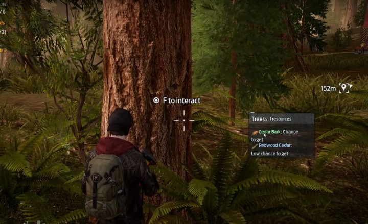 Cara Mendapatkan Kulit Kayu Cedar Undawn