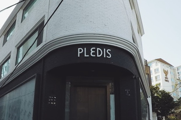 PLEDIS Entertainment Resmi Menunjuk CEO Baru