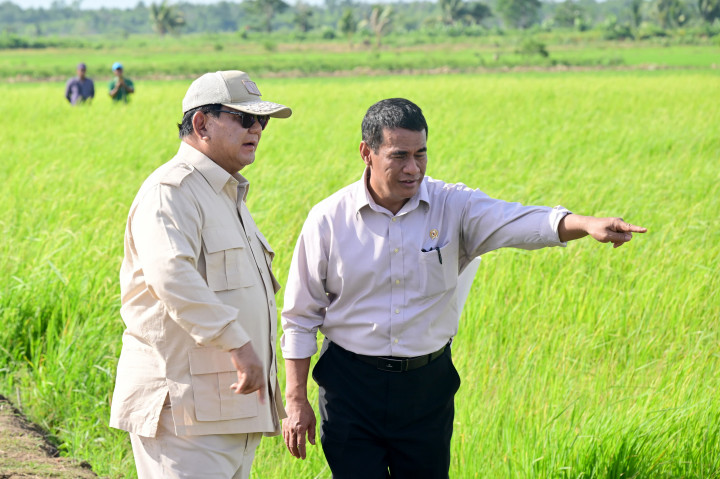 Prabowo Cermati Pengolahan Lahan di Area Lumbung Pangan Merauke