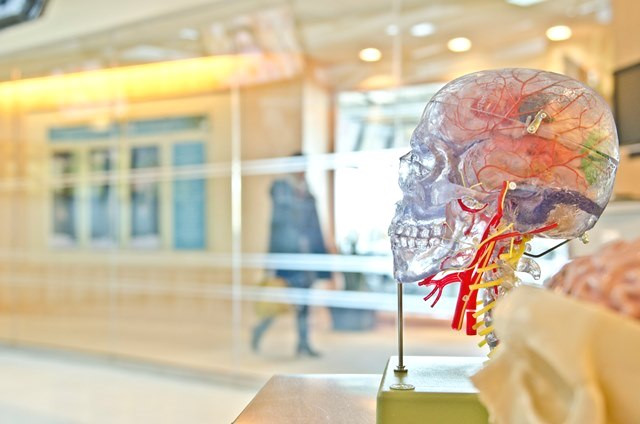 Pentingnya mengetahui penanganan stroke dan peran tim multidisiplin untuk menanganinya. (Foto: Ilustrasi/Dok. Unsplash.com)