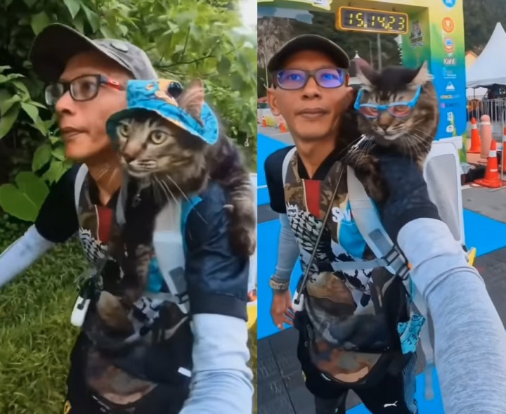 Agak Lain, Pria Ini Ikut Lomba Trail Run Sambil Gendong Kucing di Pundaknya