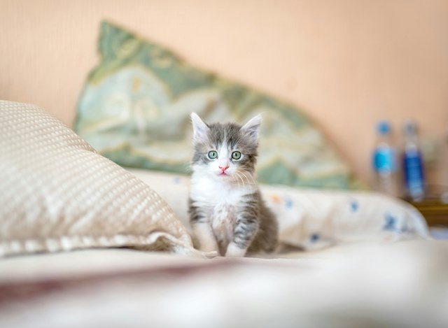 Berikut tiga berita terpopuler gaya. (Foto: Ilustrasi/Dok. Unsplash.com)