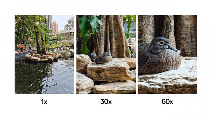 Beberapa Contoh Foto Oppo Find X8 Series