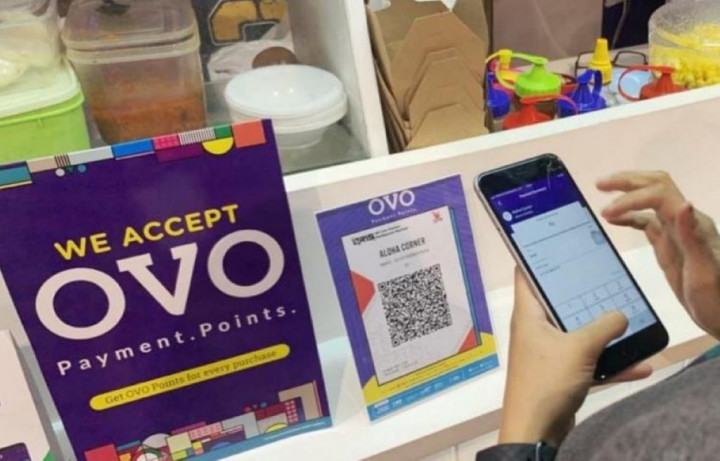 OVO Paylater Tidak Muncul? Ini Penyebab dan Cara Mendapatkannya