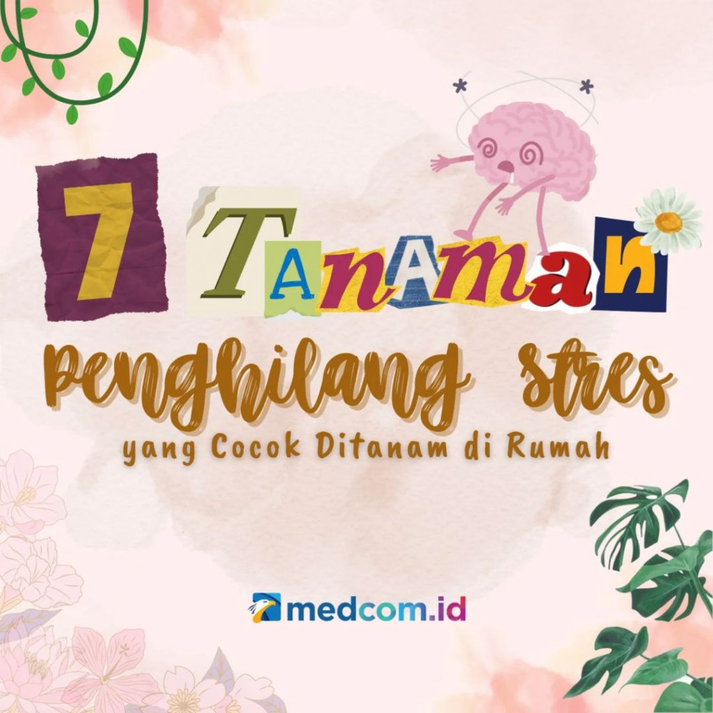 7 Tanaman Penghilang Stres