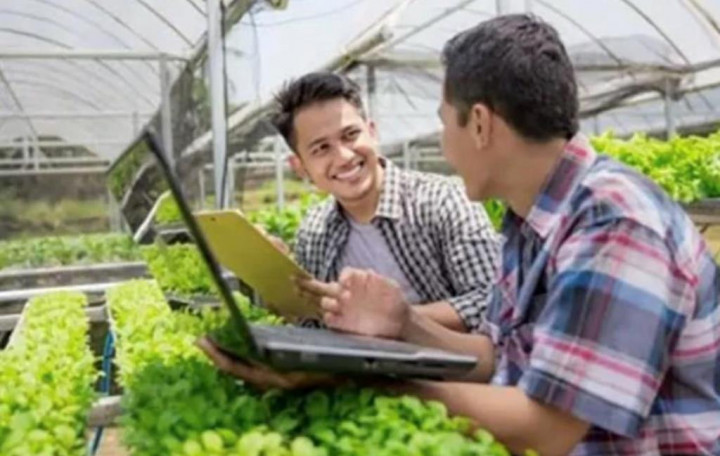 Catat! Ini Syarat dan Cara Daftar Program Petani Milenial