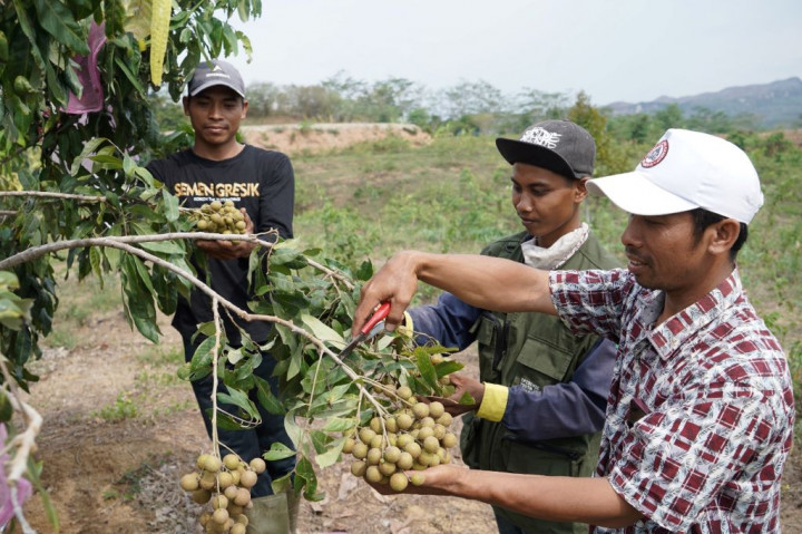 Mendongkrak Pendapatan Petani Rembang