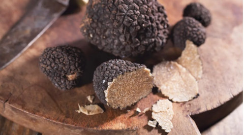 Kaya Akan Nutrisi, Ini 7 Jenis Sayuran Favorit Nabi Muhammad SAW