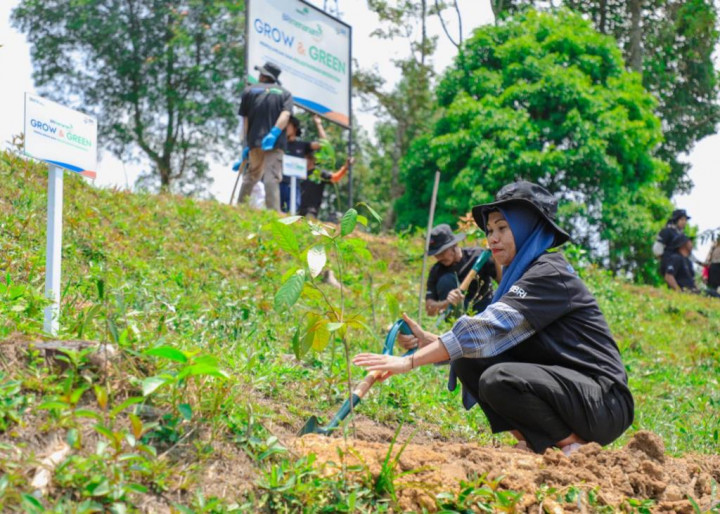 Pulihkan Hutan Bekas Tambang, Aksi Nyata Kelompok Tani Selamatkan Lingkungan Bersama BRI Menanam-Grow & Green