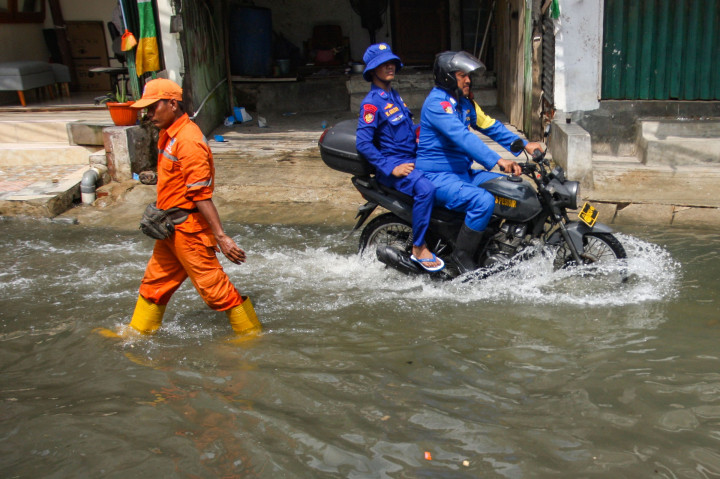 Banjir Rob Rendam Pemukiman di Muara Angke