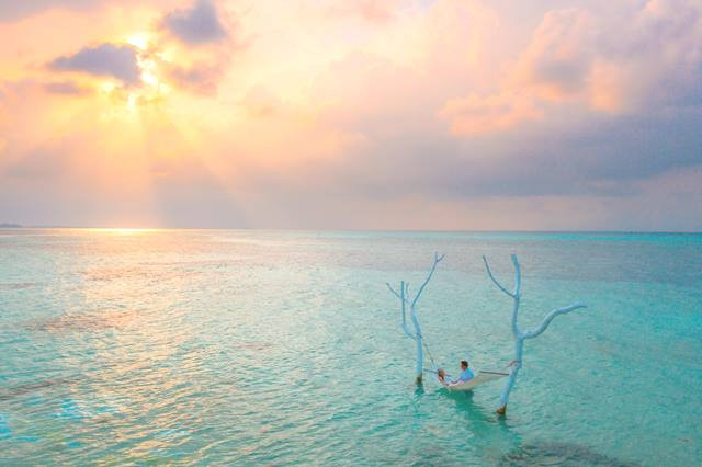 Feromon, The 'Smell' of Love