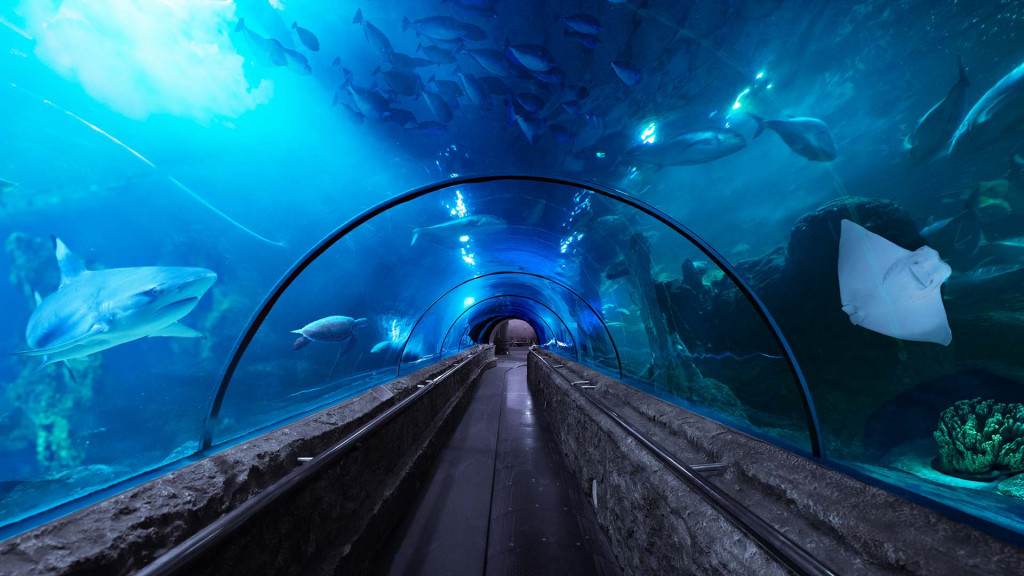 Sea World Ancol.  Foto: Ancol.com