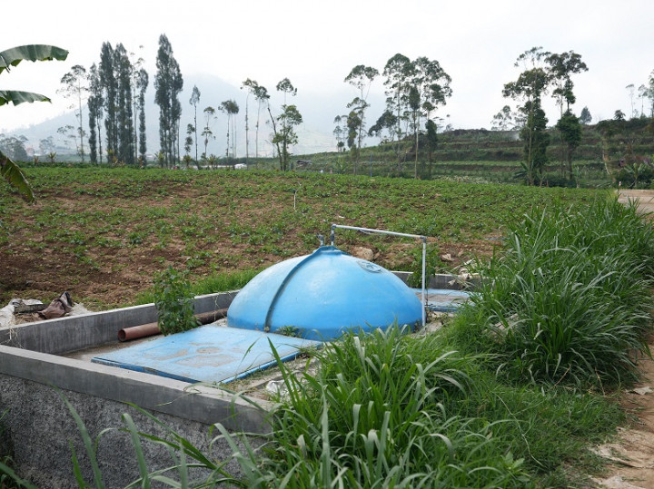 Lombok Timur Diproyeksikan Jadi Lumbung Bawang Putih Nasional