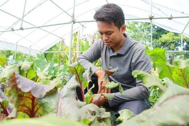 Ini Syarat dan Cara Daftar Program Petani Milenial, <i>Cekidot</i>!