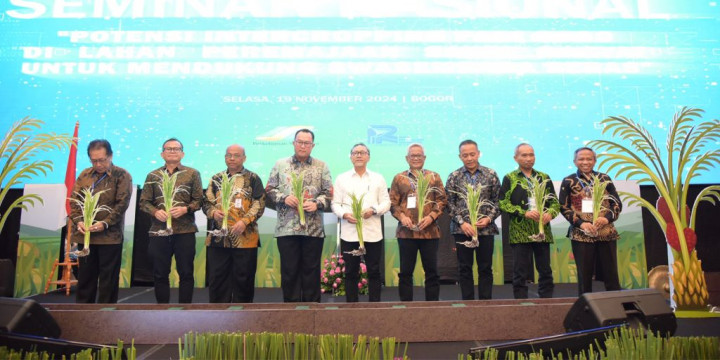 Dukung Swasembada Beras, IPB Kembangkan Padi Gogo di Lahan Peremajaan Sawit