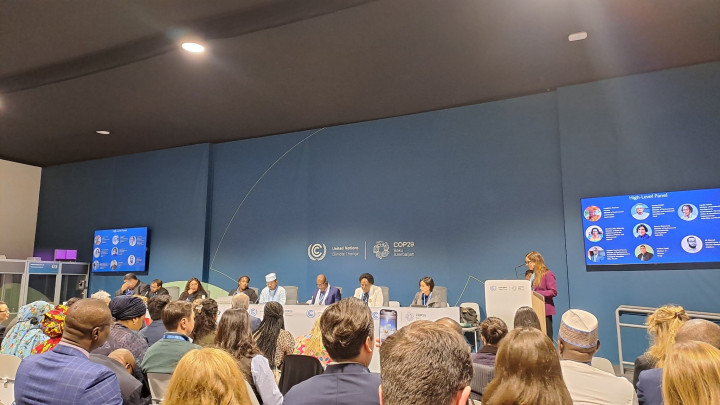 Indonesia Perjuangkan Akses Pendanaan Iklim untuk Kelompok Rentan di COP29