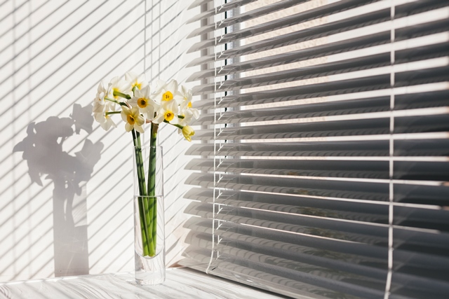 Pengertian, Jenis, hingga Keunggulan <i>Roller Blind</i>