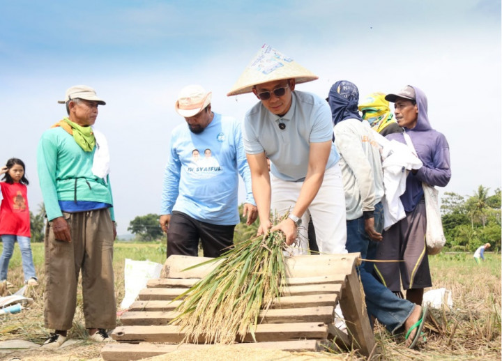 Hilirisasi Pertanian, Langkah Egi-Syaiful Tingkatkan Ekonomi Lamsel