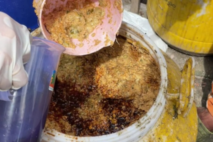 Mahasiswa ITS Tingkatkan Kualitas Maggot Lewat Pakan Biofeed dan IoT