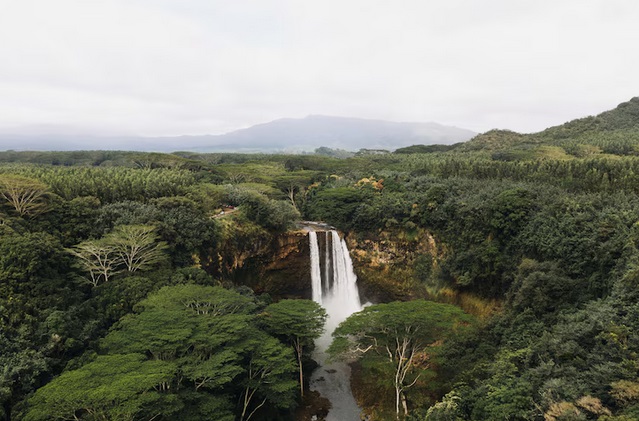 Tantangan dan Skema Pembiayaan Reforestasi untuk Pariwisata Berkelanjutan