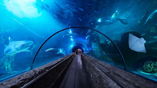 Musim Hujan Tak Masalah, Ini 5 Destinasi Liburan <i>Indoor</i> Seru di Jakarta