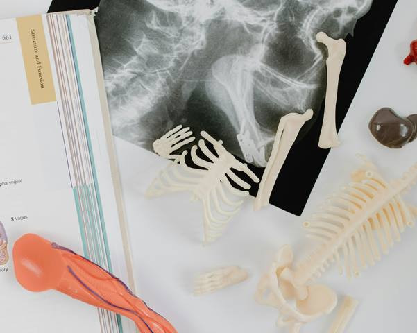 Kategori yang Harus Lakukan Skrining Kanker Paru, Perokok Aktif Termasuk!