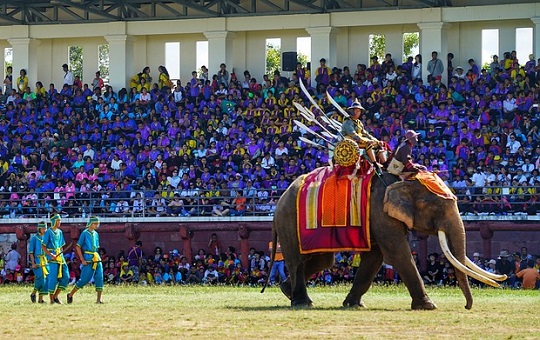 Festival Gajah Surin. DOK Pixabay