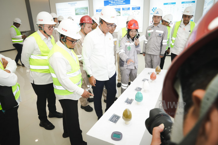 Pemerintah Girang Weda Bay Jadi KI Pertama yang Bikin Komponen Baterai Kendaraan Listrik