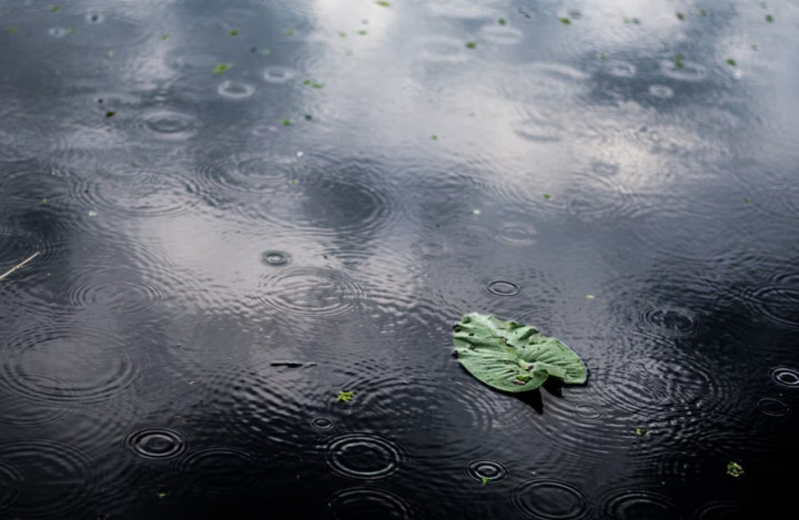 Manfaat Mencium Petrichor, Aroma Khas yang Muncul saat Hujan