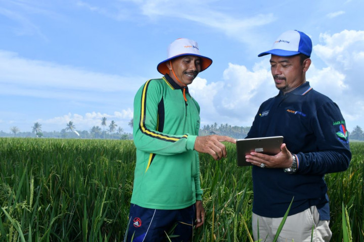 Ini 2 Cara yang Bisa Dilakukan untuk Mendukung Ketahanan Pangan