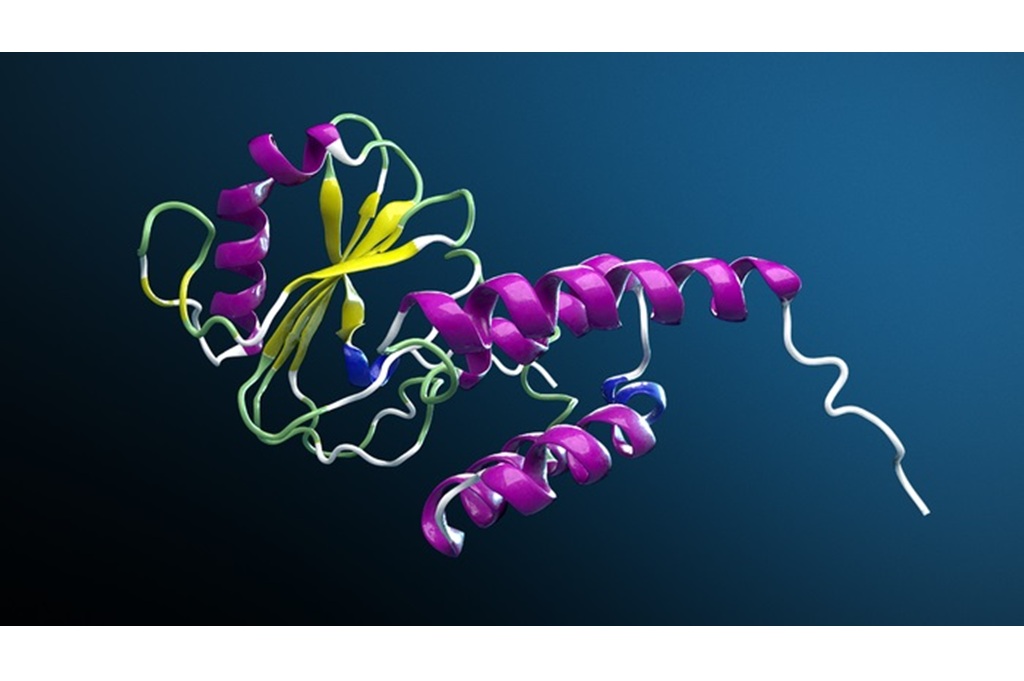 Berikut berita teknologi terpopuler di Medcom.id pada tanggal 11 Desember 2024.