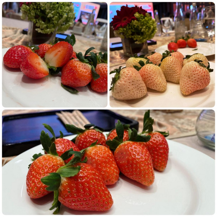 Ini 11 Jenis Stroberi Korea dengan Ciri Khasnya