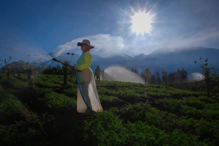 BRI Sukseskan Program Makan Bergizi Gratis melalui Pembiayaan dan Pemberdayaan