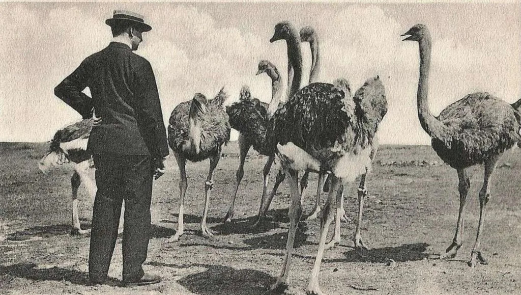 Manusia dan Emu, awal 1900. (Domain Publik)