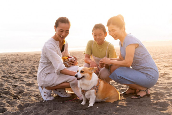 Tips Liburan Aman dan Nyaman Bersama Hewan Peliharaan saat Nataru